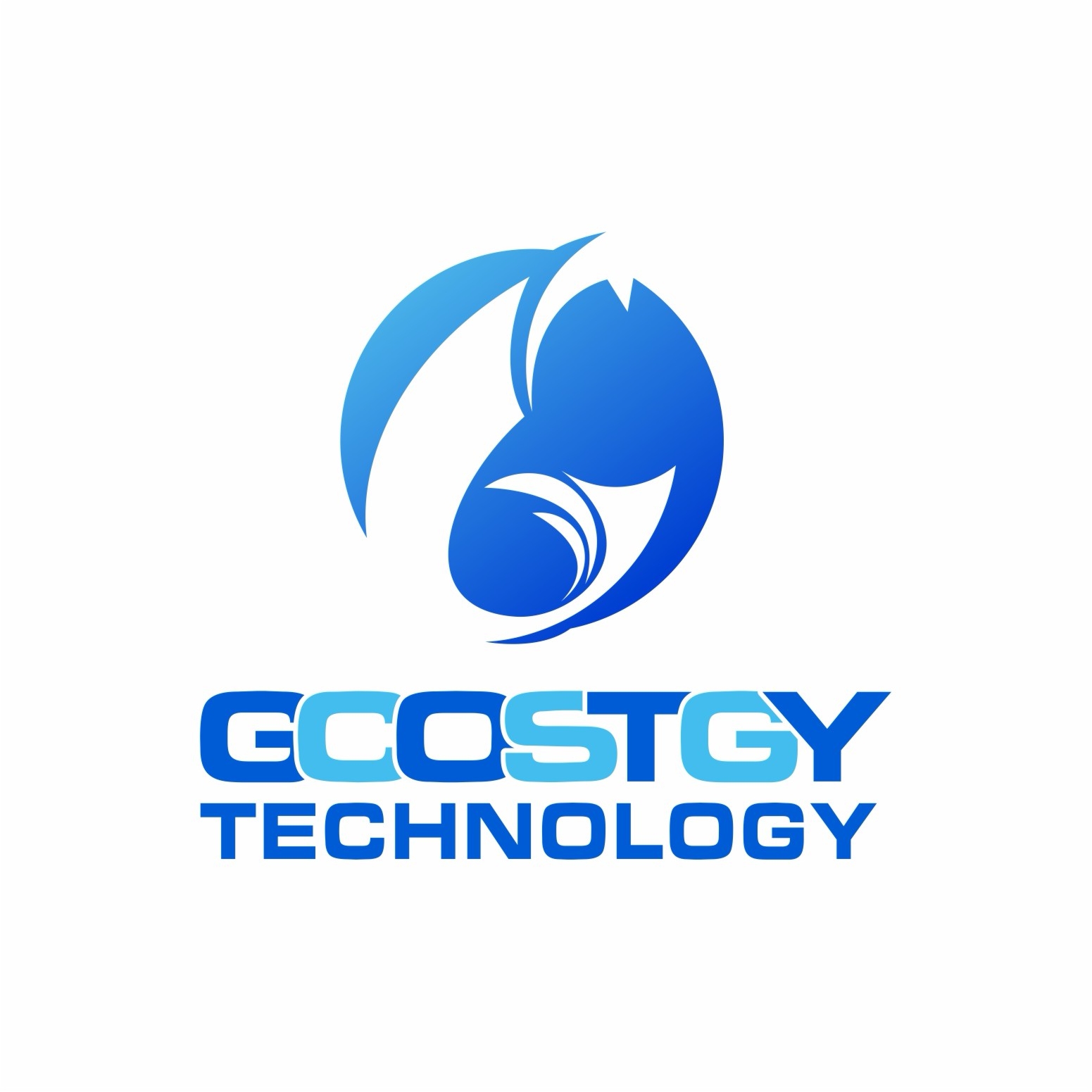 GCOSTGY